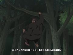 sasuga gorilla 