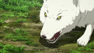 Смотри, там город 🐺