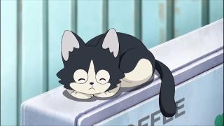 Котейка