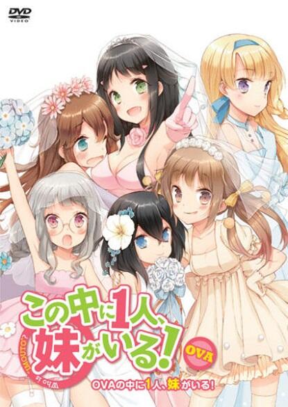Kono Naka ni Hitori, Imouto ga Iru!: Ani, Imouto, Koibito постер