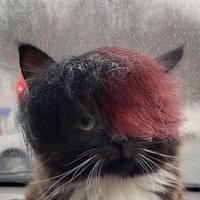 Артём Сорокин