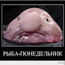 Александр Фабричный